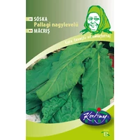 Sóska Pallagi nagylevelű (Nagymama konyhakertje) "B" 3g RÉDEI