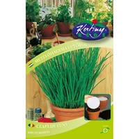 Vetőmag korong Metélőhagyma "D" 2 db/cs. RÉDEI