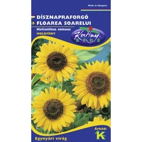 r800584_picture