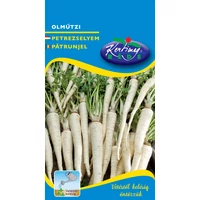 Petrezselyem Olmützi hosszú 100g (Nagy kiszerelés) RÉDEI