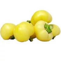ZP-EDESALMA-1K_picture