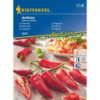 Pepperoni Amboy 'PG-K' NB