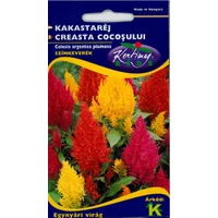 r800300_picture