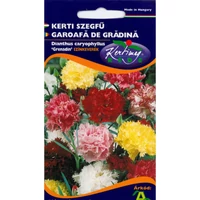 r805091_picture