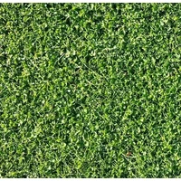 SFAC6275250G_picture
