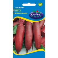 Cékla Cylindra 50g (Nagy kiszerelés) RÉDEI