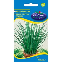 Metélőhagyma Bohemia "K" 2g RÉDEI