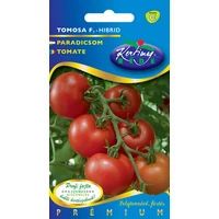 Paradicsom Tomosa F1 1g (Nagy kiszerelés) RÉDEI