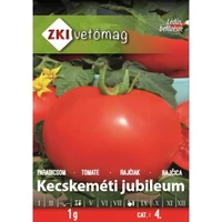 z131109_picture
