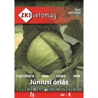 z211108_picture