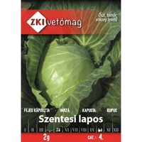 z211207_picture