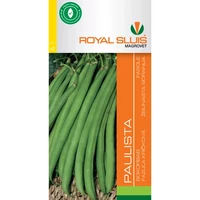 Bab Paulista ROY 65g