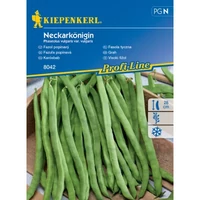 Karósbab Neckarkönigin 'PG-N' KIEPENKERL