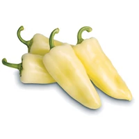 Paprika Sonett F1 500 szem ZKI-P
