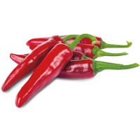 Fűszerpaprika (Édes) Fonó F1 1000 szem ZKI-P
