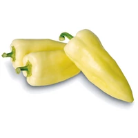 Paprika Gidran F1 500 szem ZKI-P