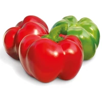 Pritaminpaprika Temes F1 1000 szem ZKI-P