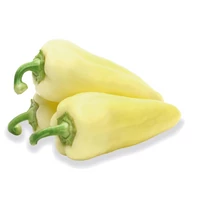 Paprika ZKI 09402 F1 100 szem ZKI-P