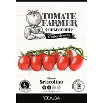 Paradicsom Briscolino (Tomato Farmer) 8 szem ROCALBA