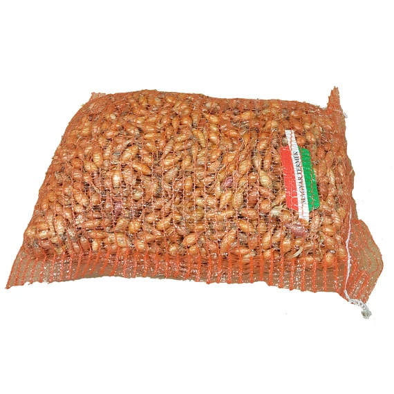 Dughagyma tavaszi makói 5000g (zsákos)