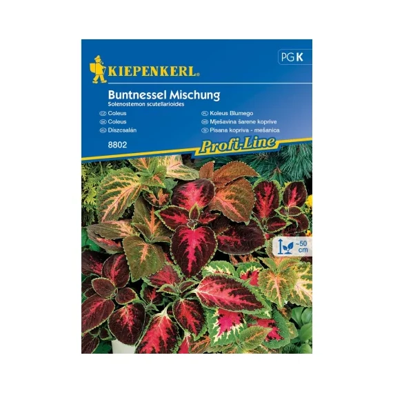 Díszcsalán színkeverék 'PG-K' KIEPENKERL