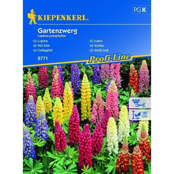 Csillagfürt Gartenzwerg 'PG-K' KIEPENKERL