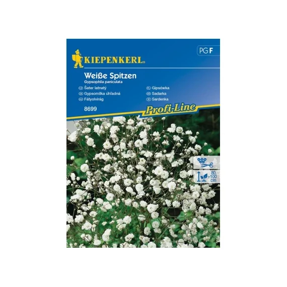 Fátyolvirág Weisse Spitzen 'PG-F' KIEPENKERL