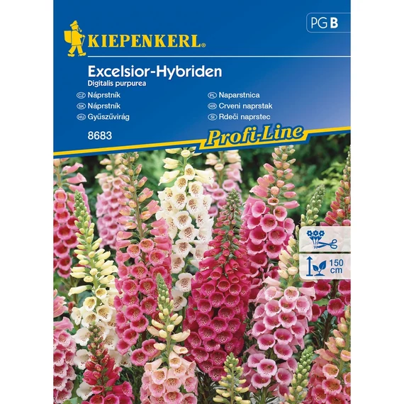 Gyűszűvirág Excelsior-Hybriden 'PG-B' KIEPENKERL