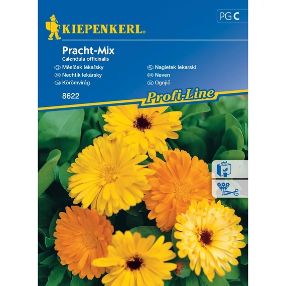 Körömvirág Pracht-Mix 'PG-C' KIEPENKERL