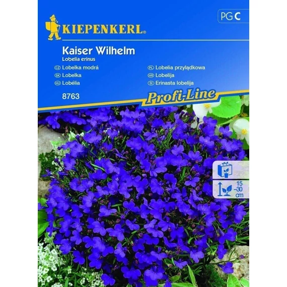 Lobélia Kaiser Wilhelm 'PG-C' KIEPENKERL