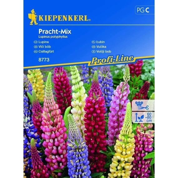Csillagfürt Pracht-Mix 'PG-C' KIEPENKERL