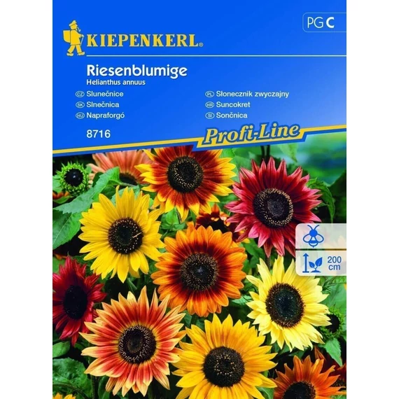 Napraforgó Riesenblumige 'PG-C' KIEPENKERL