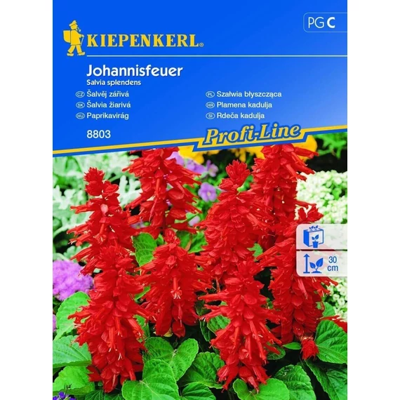 Paprikavirág Johannisfeuer 'PG-C' KIEPENKERL