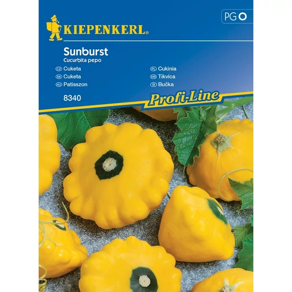 Patisszon Sunburst 'PG-O' KIEPENKERL