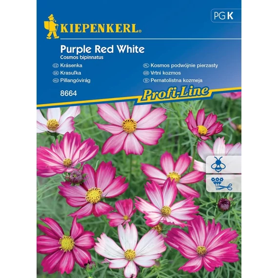 Pillangóvirág Purple Red White 'PG-K' KIEPENKERL