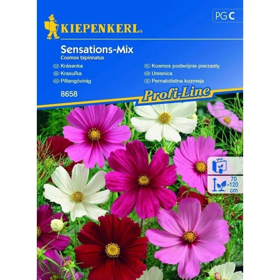 Pillangóvirág Sensations Mix 'PG-C' KIEPENKERL