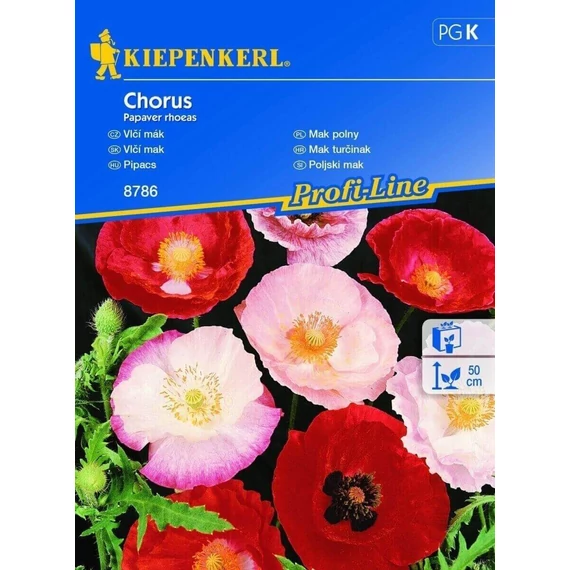 Porcsinrózsa színkeverék 'PG-C' KIEPENKERL