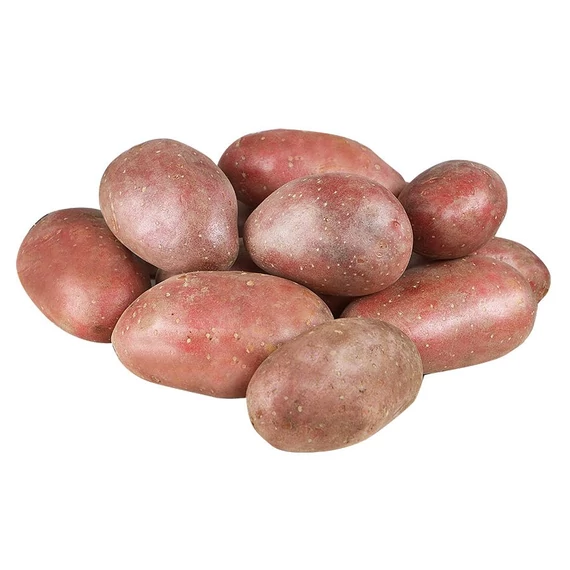 VB-REDSCARLET-50SZ_picture