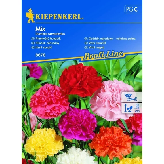 Kerti szegfű színkeverék 'PG-C' KIEPENKERL