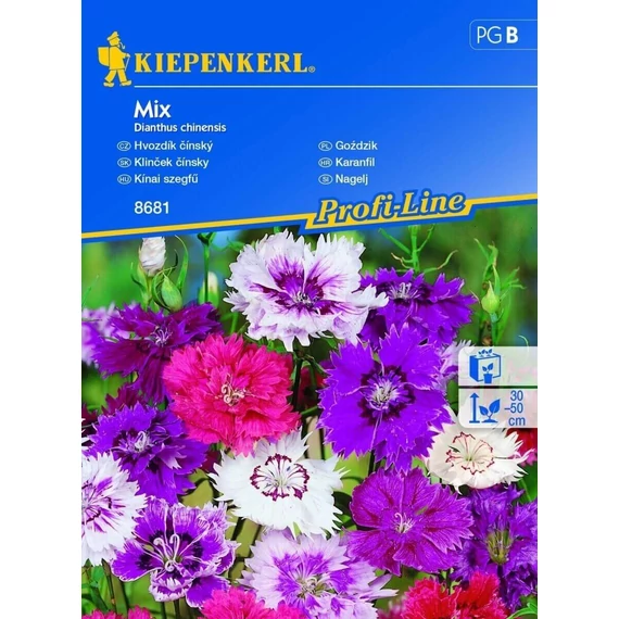 Kínai szegfű színkeverék 'PG-B' KIEPENKERL