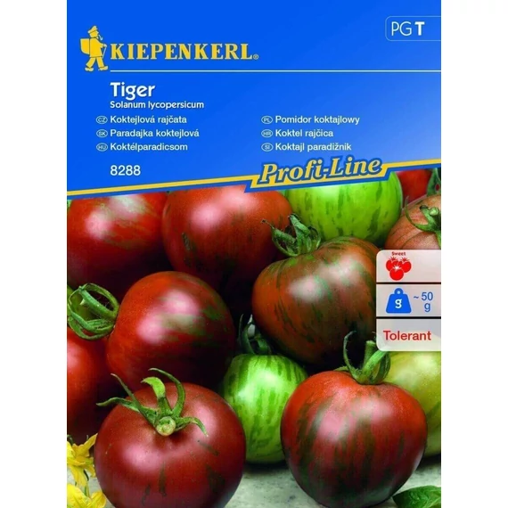 Koktélparadicsom Tiger 'PG-T' KIEPENKERL