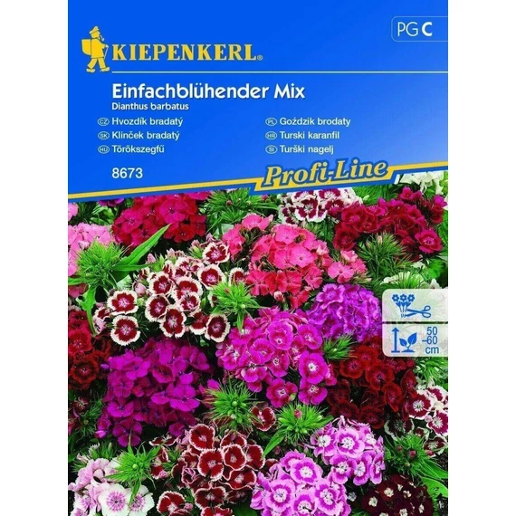 Törökszegfű színkeverék 'PG-C' KIEPENKERL