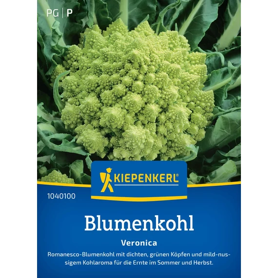 Pagoda-karfiol Veronica 'PG-P' KIEPENKERL