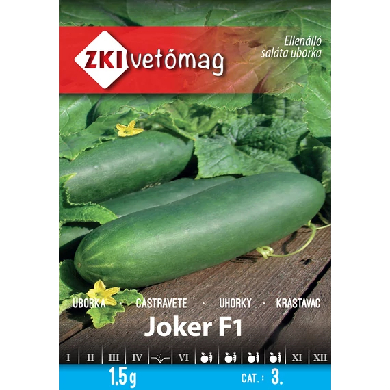 z100174_picture