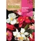 Begonia szk 0,1g ROCALBA