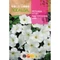 Petunia fehér 0,5g ROCALBA
