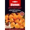 Chili paprika Habanero narancssárga 20 szem BLUMEN