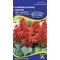 Paprikavirág Magic Fire alacsony 0,5g RÉDEI