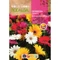 Gerbera szk 0,1g ROCALBA