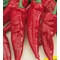 Fűszerpaprika Kárminvörös 25g (Nagy kiszerelés) RÉDEI